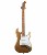jet-guitars-js-300-gd-gold-m.jpg
