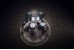 Donner DED-200 MAX E-Drum
