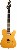 slick-guitars-sl-50-bst-m.jpg