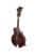 Eastman Guitars MD315 Mandoline