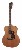 richwood-guitars-a-50-m.jpg