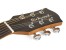 Richwood Guitars SWG-150W-CE Songwriter R Westerngitarre