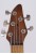 Branko Radulovic 5-String Bass mit Neckthru-Halskonstruktion