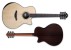 Furch Guitars Yellow Deluxe Gc-SR Westerngitarre