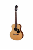 eastman-guitars-pch2-tg-1-m.png