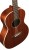Breedlove Pursuit Parlor E Mahogany Westerngitarre