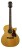 Richwood Guitars G-65-CEVA Westerngitarre