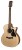 Richwood Guitars G-40-CE Westerngitarre