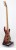 Branko Radulovic 5-String Bass mit Neckthru-Halskonstruktion