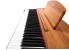 Donner DDP-80 Digital Piano wood