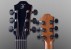 Furch Guitars Eclipse Performance Ivory Gc-ER a Westerngitarre