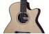 Furch Guitars Yellow Deluxe Gc-SR Westerngitarre