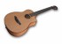 Furch Guitars Pioneer-CM a Westerngitarre