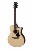 eastman-guitars-pch2-gace-m.jpg