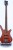 warwick-streamer-std-1-m.jpg