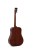 Sigma Guitars SDM-STE Westerngitarre