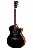 eastman-guitars-pch2-gace-bk-1-m.png