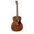 Bourgeois Downeast OO-14 Hog Top Vollmahagoni Westerngitarre