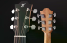 Furch Guitars MC Blue GC-TW a Westerngitarre