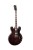 Sigma Guitars HBW-102H-DS Semi-Hollow E-Gitarre Sigma Guitars HBW-102H-DS Semi-Hollow E-Gitarre