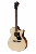 eastman-guitars-pch3-gace-cla-1-m.png