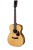 Eastman Guitars E3OME-DLX Westerngitarre