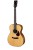 Eastman Guitars E3OM-DLX Westerngitarre