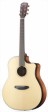 breedlove-pursuit-dreadnought-plus_01-s.jpg breedlove-pursuit-dreadnought-plus_01-s.jpg