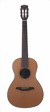 bromo-guitars-bar6-1-s.jpg