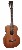 richwood-guitars-p-50-e-m.jpg