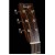 Bourgeois Downeast OO-14 Hog Top Vollmahagoni Westerngitarre