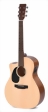 ditson-guitars-gc-10el-1-s.jpg