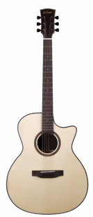 dove-guitars-dl-260-sc-nm-01-m.jpg