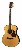 richwood-guitars-a-70-va-m.jpg