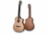 Furch Guitars Pioneer-CM a Westerngitarre