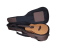 Furch Guitars Pioneer-EM a Westerngitarre