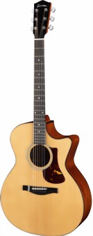 eastman-guitars-ac-122-1ce-dlx-1-m.jpg