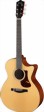 eastman-guitars-ac-122-1ce-dlx-1-s.jpg