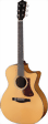 eastman-guitars-ac222ce-dlx-1-s.gif