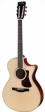 eastman-guitars-ac308ce-ltd-1-s.jpg