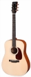 eastman-guitars-e1d-1-s.jpg