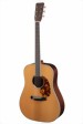 eastman-guitars-e20d-tc-lsh-s.jpg