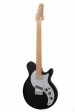 eastman-guitars-ft-sc_52-mb-s.jpg