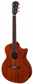 eastman-guitars-pch1-gace-classic-m.jpg