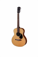 eastman-guitars-pch2-tg-1-m.png