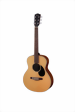 eastman-guitars-pch2-tg-1-s.png