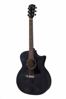 eastman-guitars-pch3-gace-tbk-m.jpg