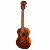eastman-eu3-t-tenor-ukulele-1-m.jpg