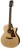 Richwood Guitars G-22-CE Westerngitarre