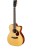 Eastman Guitars E1OMCE-DLX Westerngitarre